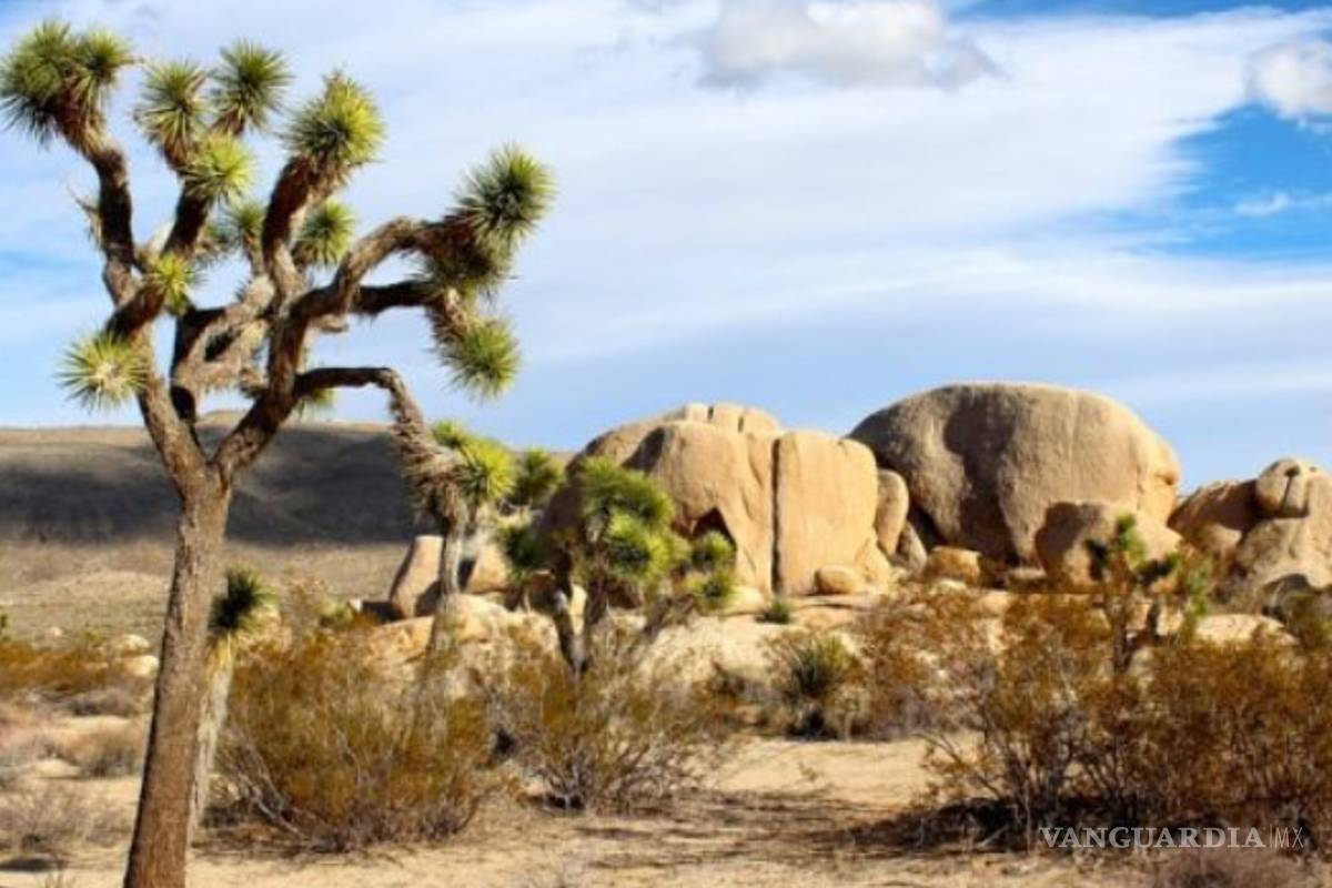 $!El Valle de la Muerte alcanza los 54ºC, segunda temperatura más alta de todos los tiempos