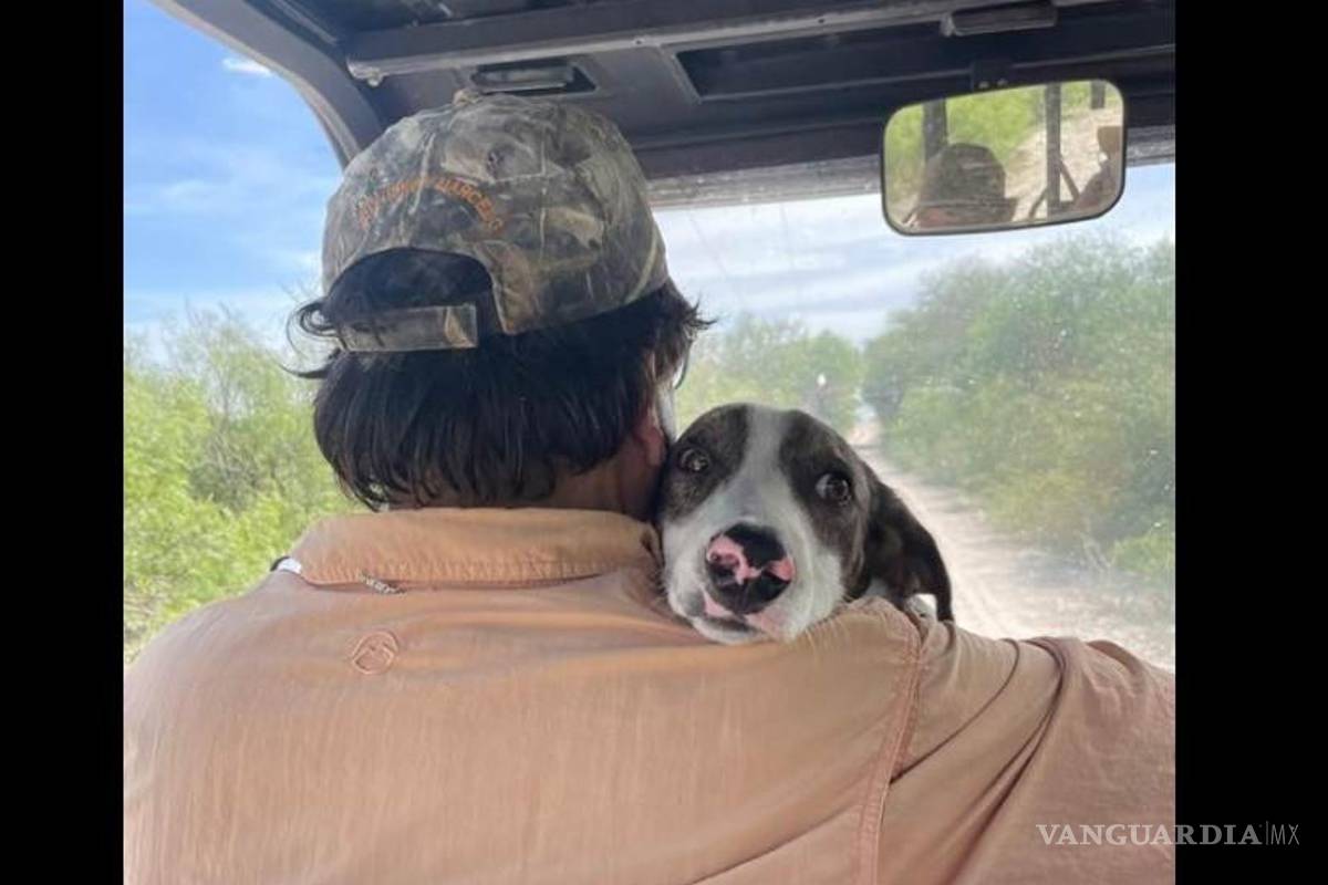 El exsenador coahuilense Alejandro Gutiérrez propone red nacional contra maltrato animal, tras caso de perritos quemados en Saltillo