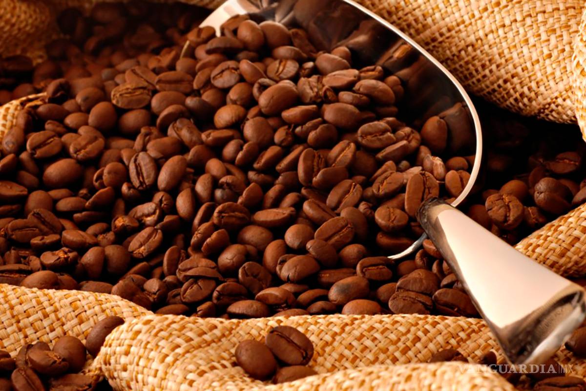 Impactará caída de precios de café en América Latina; podría aumentar migración
