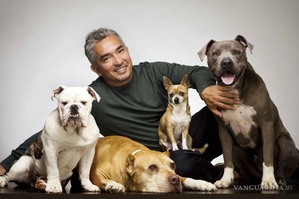 César Milán no enfrentará cargos por crueldad animal