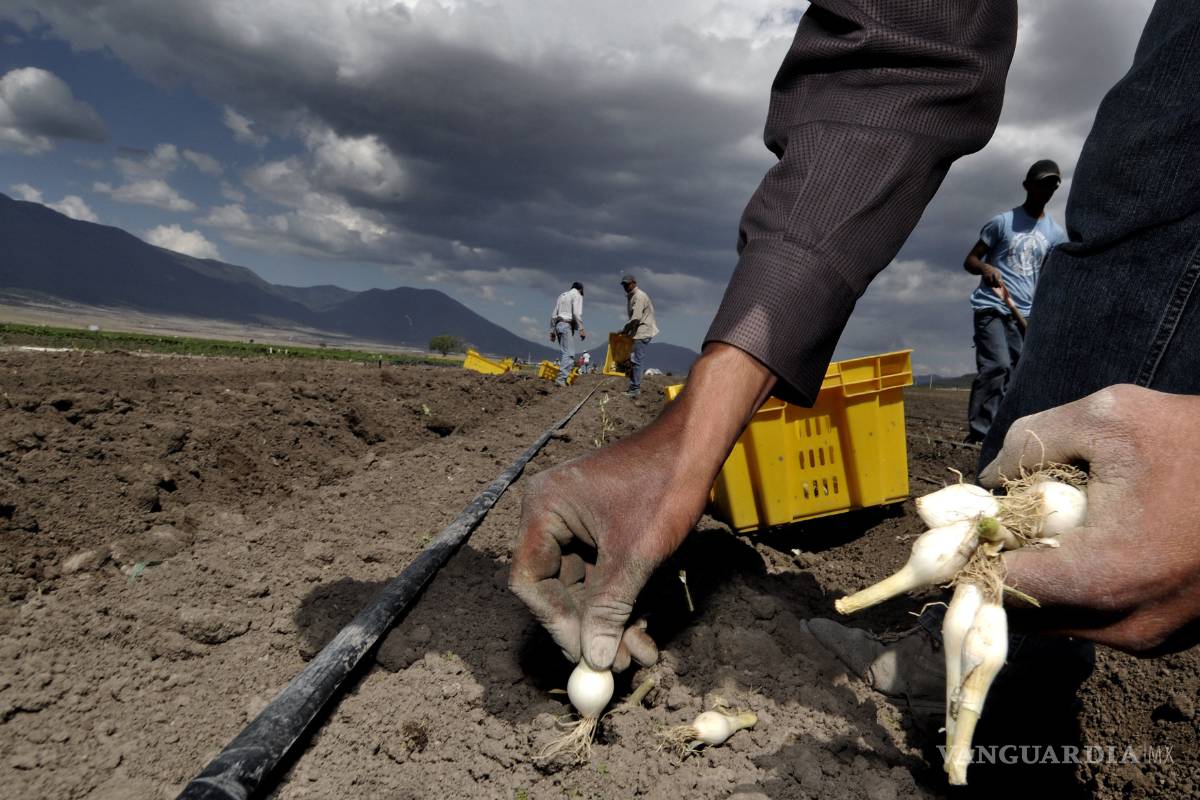 Ejercerá Seder 90 mdp en campo de Coahuila, a pesar de recorte presupuestal
