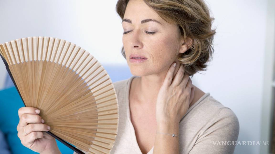 Remedios naturales para palear los síntomas de la menopausia