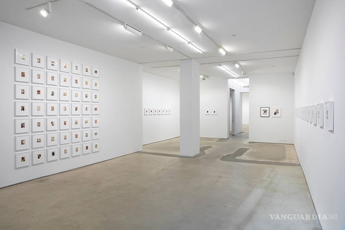 Galería Jack Shainman exhibe el tesoro fotográfico de Andy Warhol en Nueva York