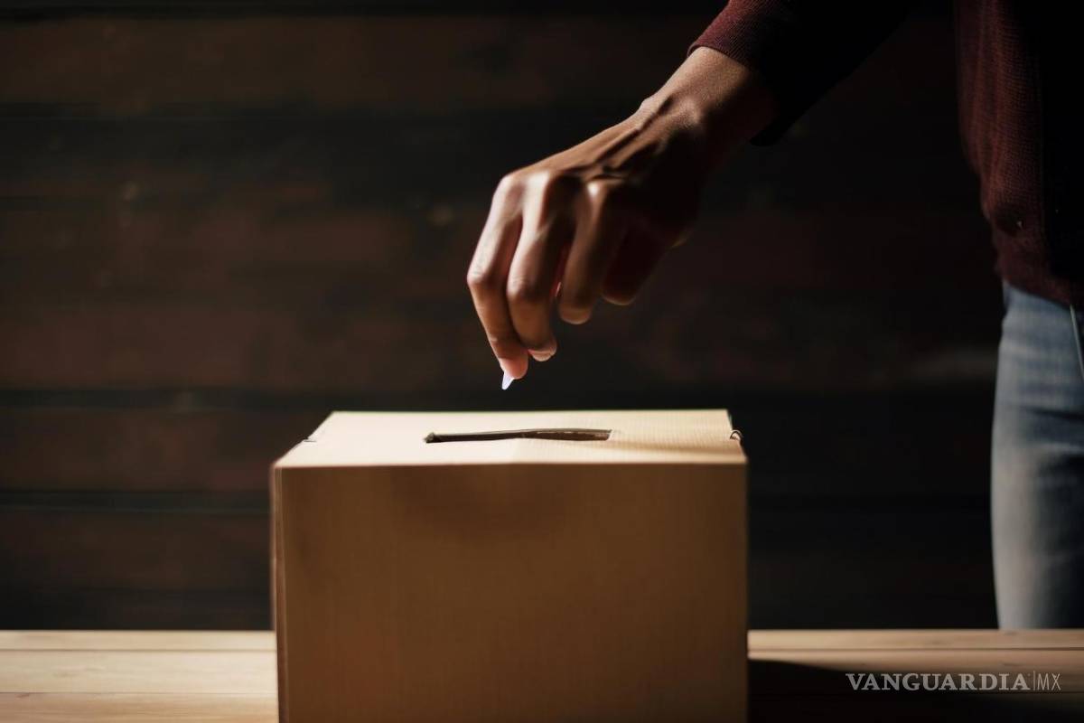 Reforma electoral, uno de los últimos clavos en el ataúd de la democracia