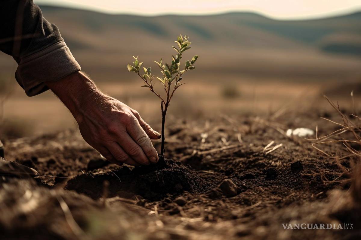 Saltillo Verde: una acción colectiva para el desarrollo sustentable