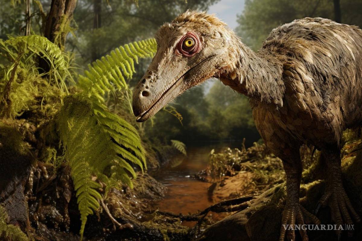 Conoce al nuevo dinosaurio de Coahuila; es el primer troodóntido que se encuentra en México