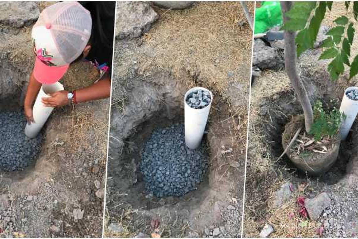 ¿Cómo se puede aprovechar la grava para regar árboles y captar agua de lluvia?