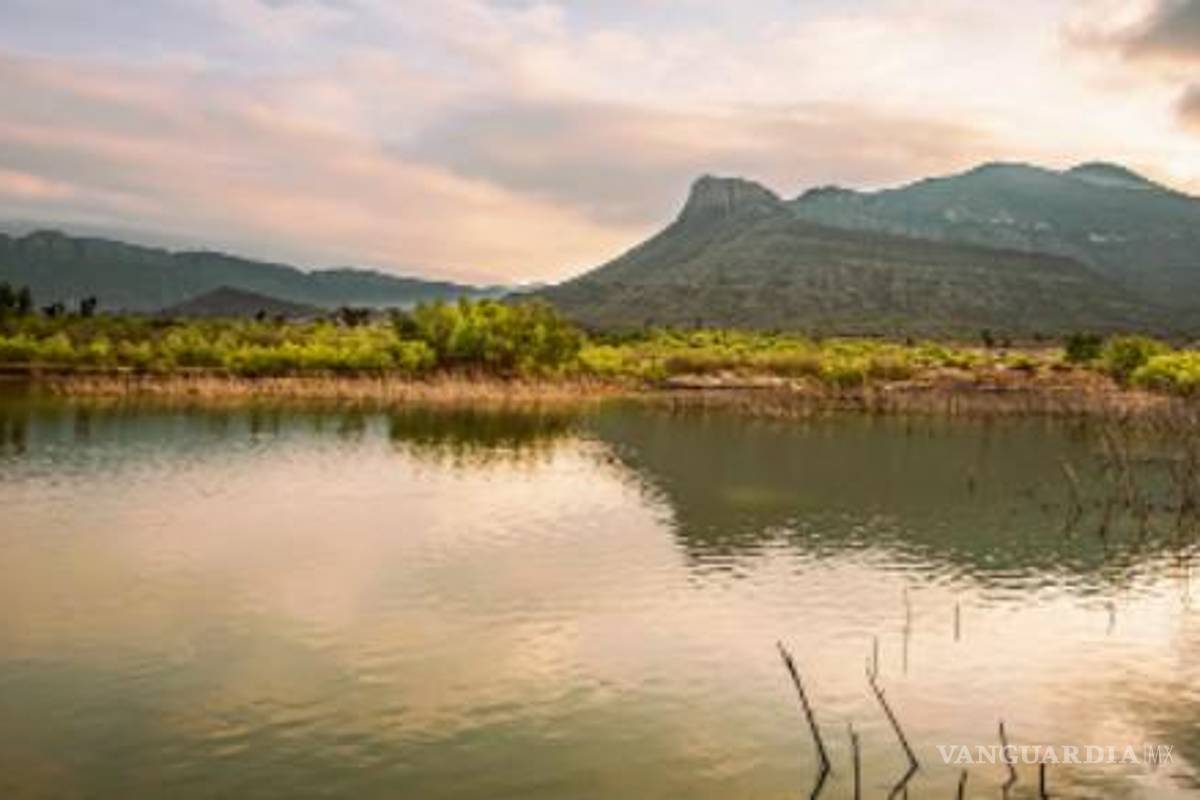 Pide Conagua corregir cortina de la presa Palo Blanco en Coahuila