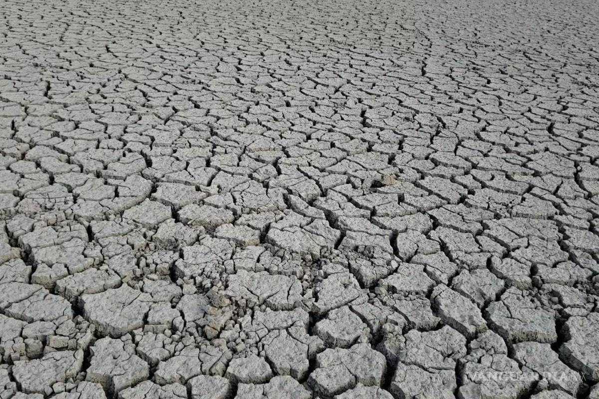 Ejidos de Parras sufren sequía ‘por falta de apoyo de los gobiernos’, dicen pobladores