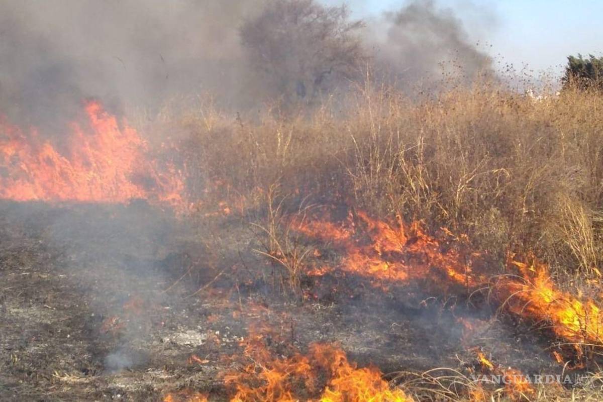 Fuertes vientos provocan incendios en zacatales en Piedras Negras