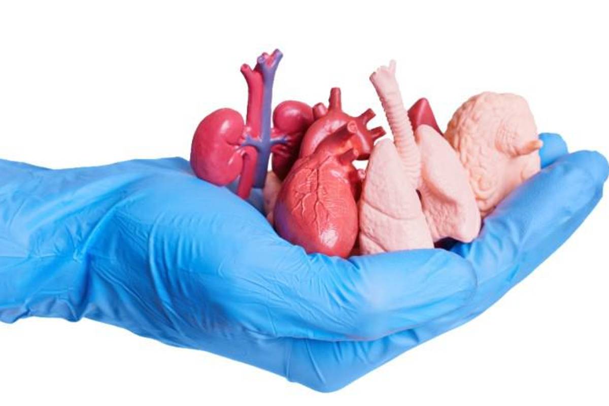 Coahuila: Impulsa IMSS trasplantes como alternativa para mejorar calidad de vida de pacientes con enfermedades crónicas