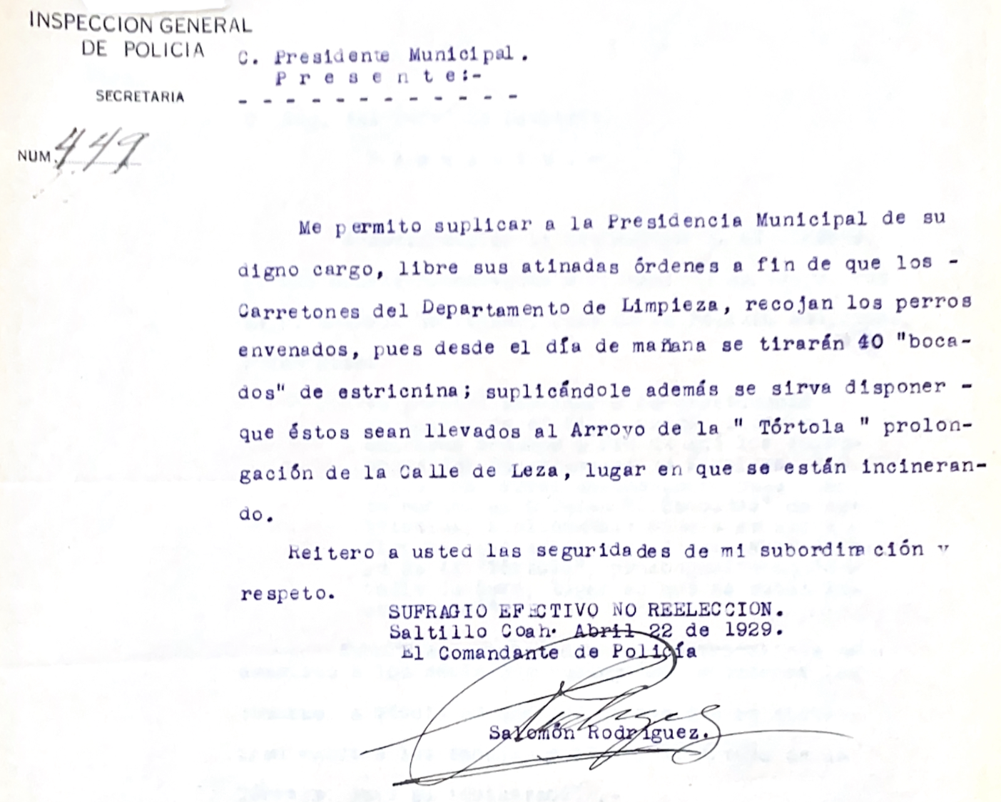 $!Ayuntamiento de Saltillo envenenó perros en 1929 y hubo quienes le “aplaudieron”