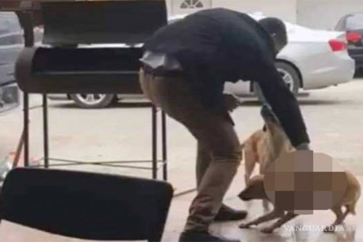 Diputado Federal pide que se investigue el asesinato de perro en Piedras Negras