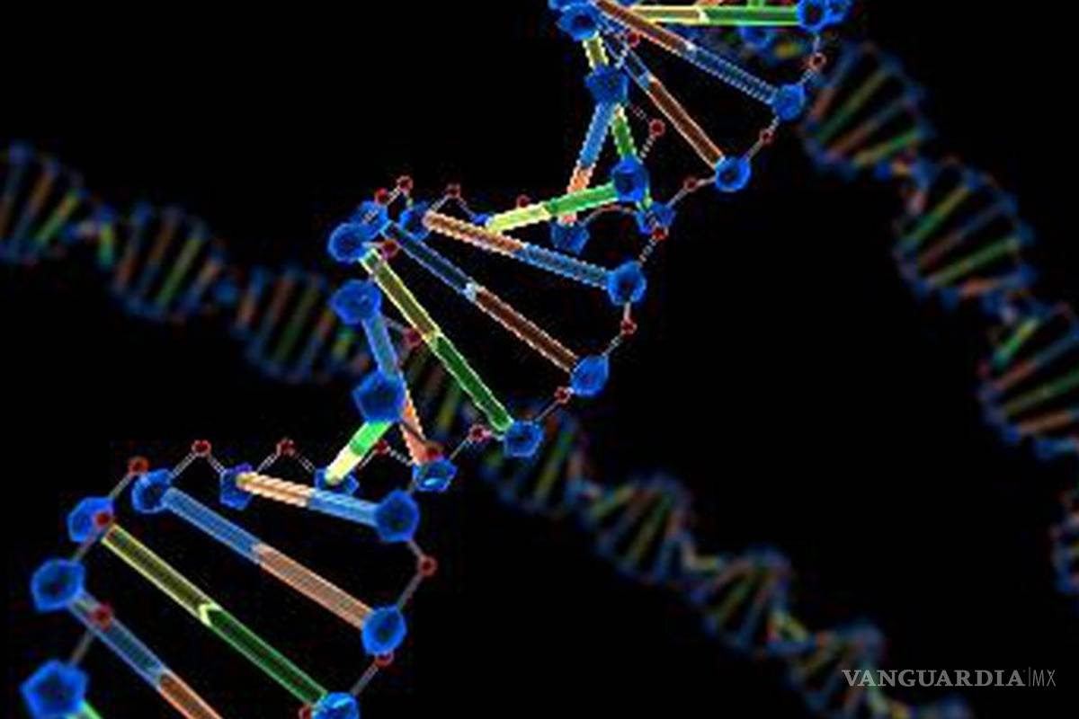 $!Lo oscuro del ADN
