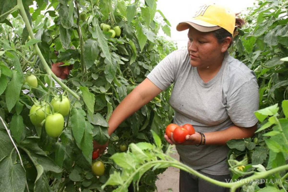 Impulsa Sagarpa el talento femenino