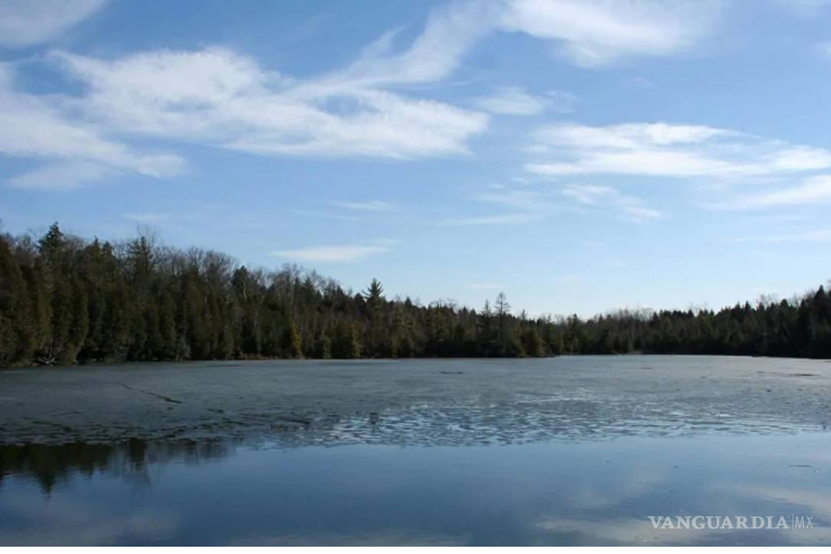 Las causas del Antropoceno; radiación nuclear tiene efectos devastadores en ecosistemas, advierten