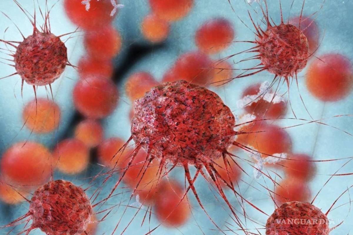 La inmunoterapia es mejor que la quimio en tumores de vejiga avanzados