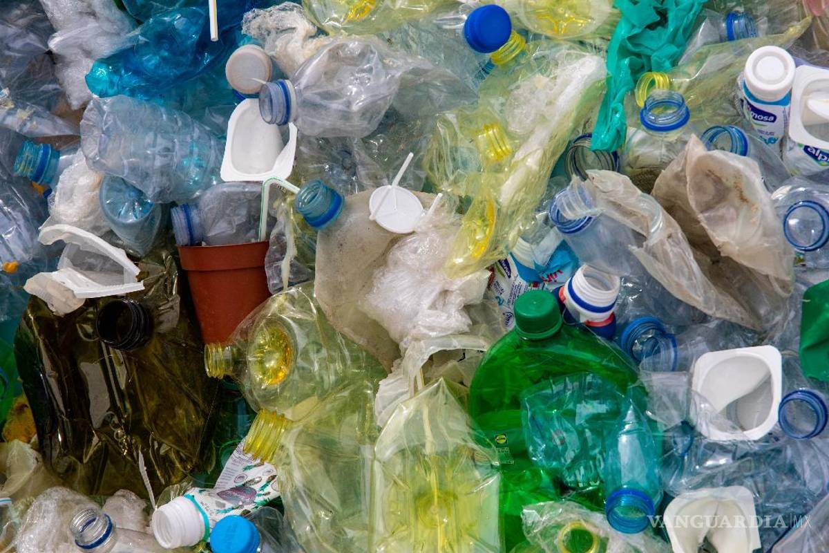 Empresa de reciente creación convierte residuos de plástico en combustible