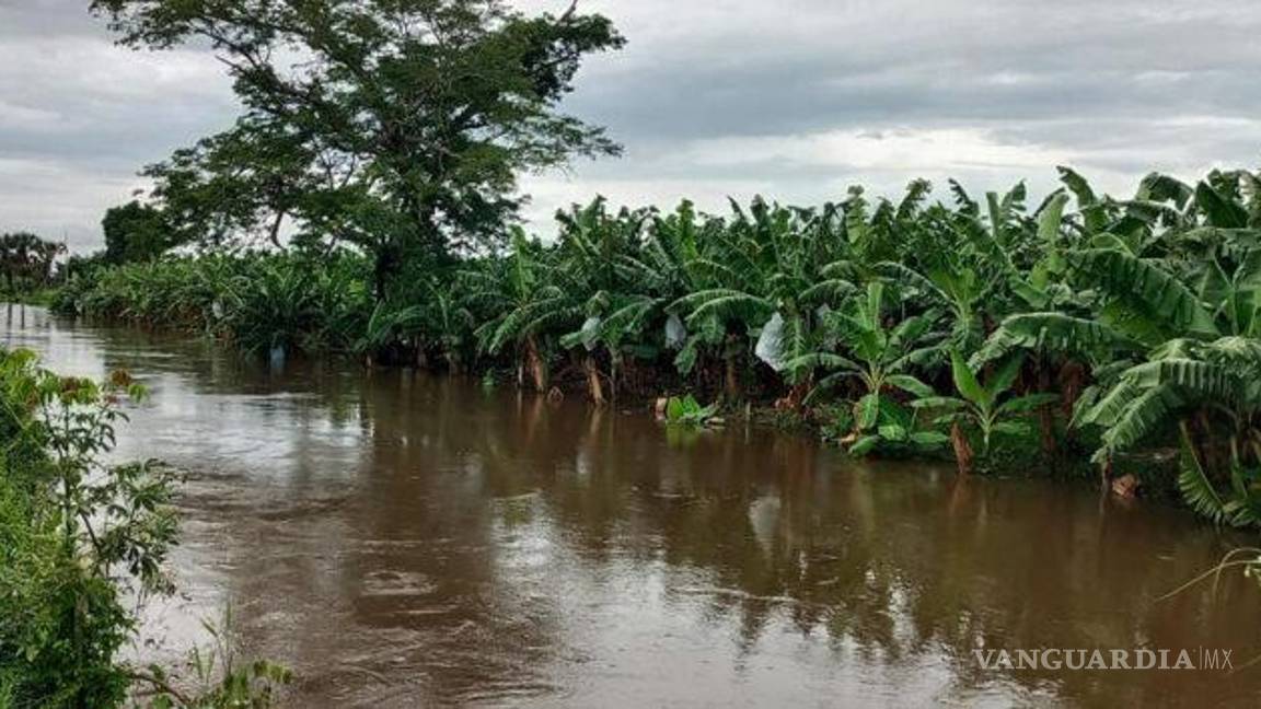 $!Agricultores de Chiapas exigen declarar desastre por lluvias