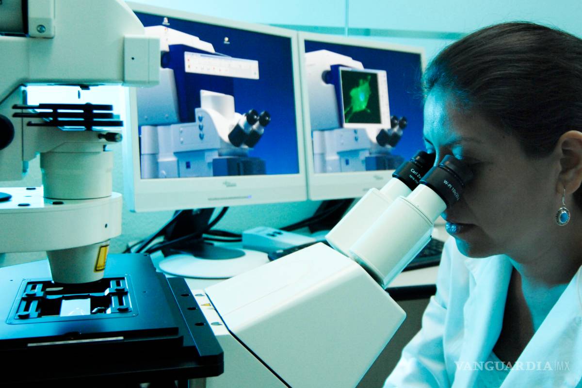 La SCT tiene abandonada a la ciencia y la tecnología: Rodolfo Neri Vela