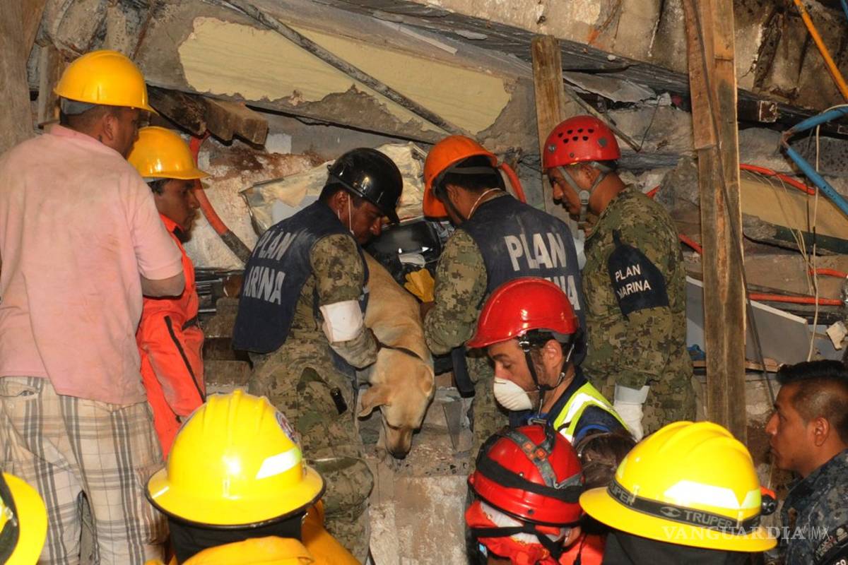 Semar ha rescatado a 115 víctimas del sismo de magnitud de 7.1