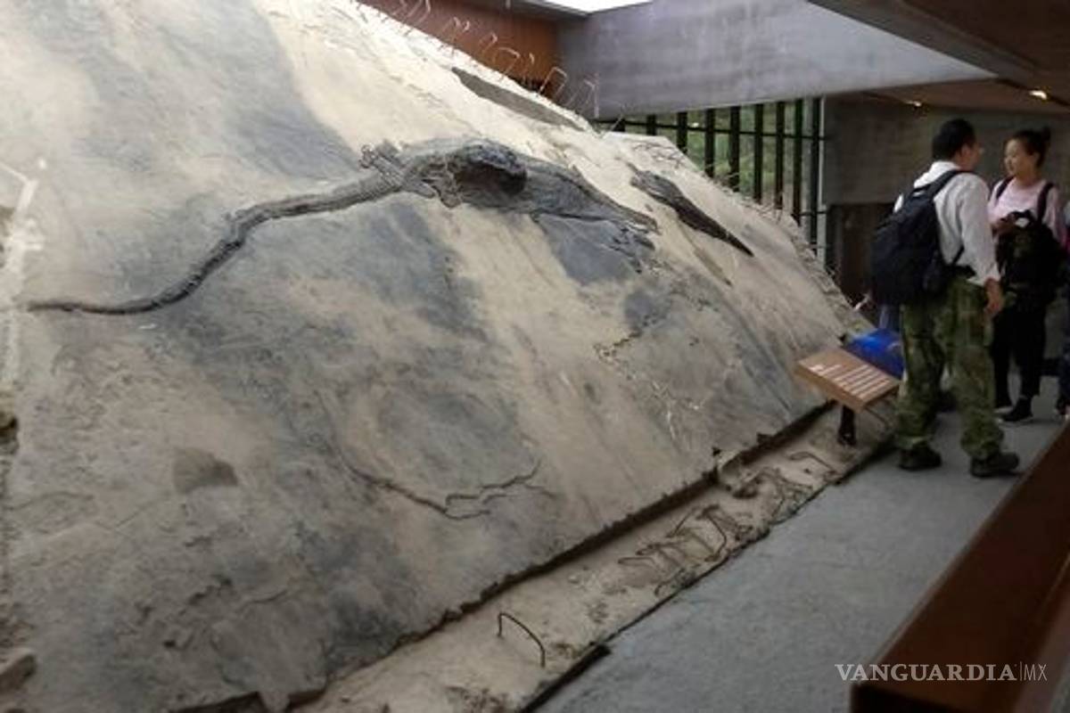 Hallan fósil de reptil en otro más grande