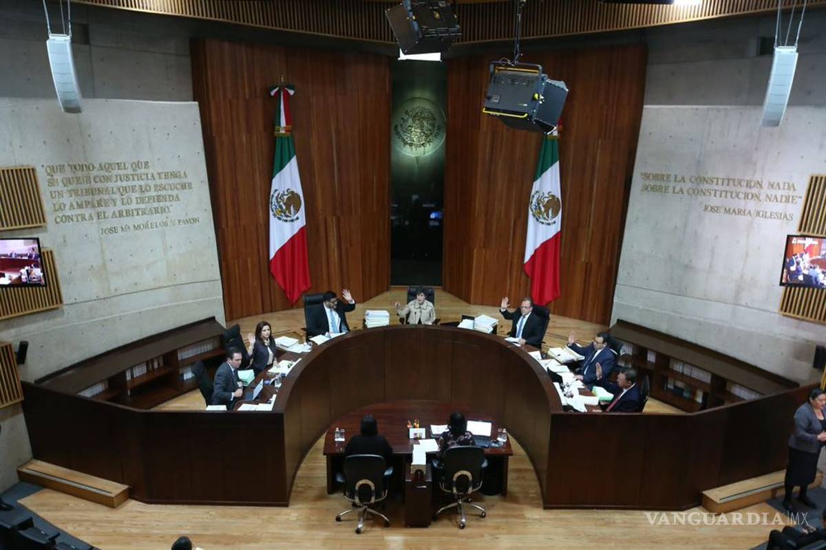 Recursos no ejercidos por partidos deben ser devueltos: TEPJF