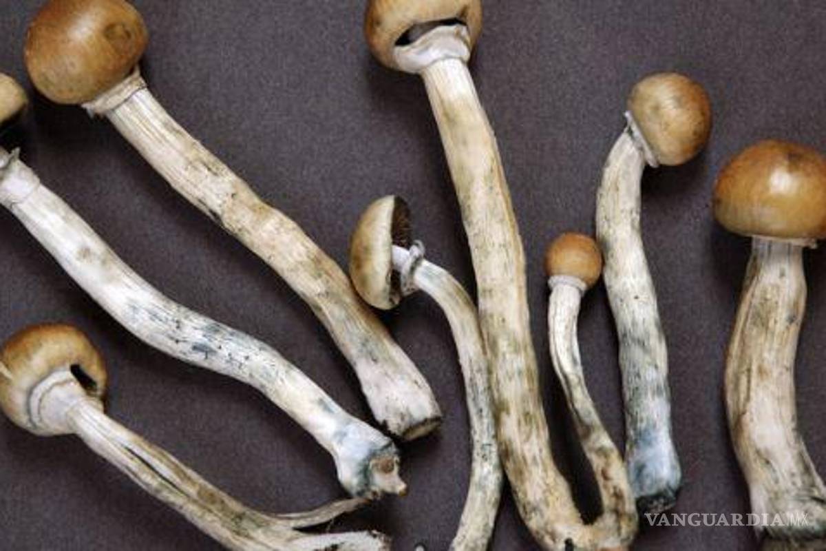 $!Mariana contó que uno de los aspectos que más pide cuidar a la hora de intentar consumir este tipo de sustancias es tomarlas como las hierbas y recursos ancestrales de pueblos originarios.