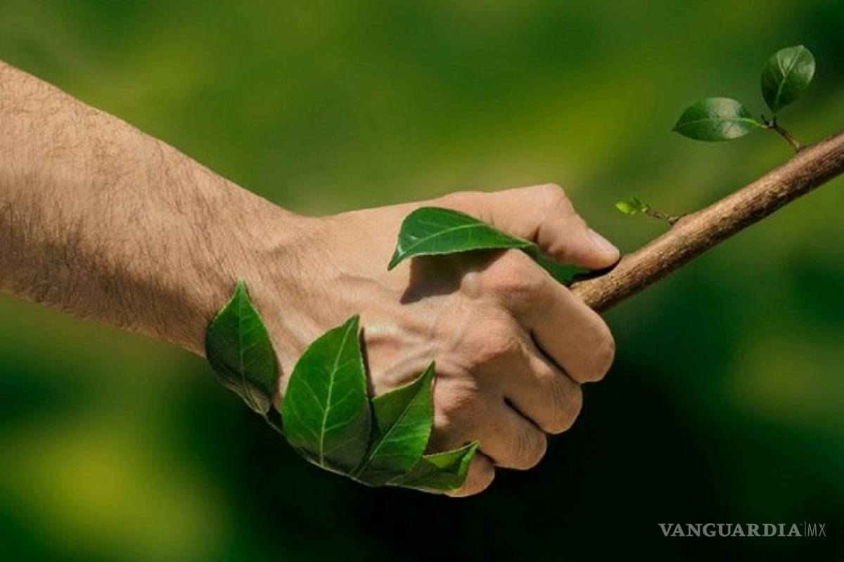 Propone ciudadano aplicar impuesto verde