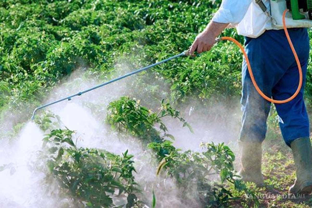 Prohíben usar plaguicidas altamente peligrosos en México