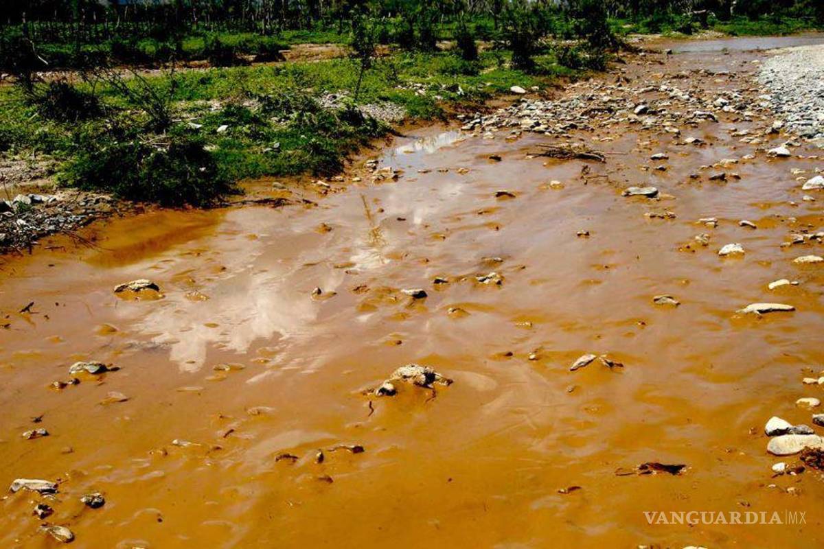 $!Los afluentes de los ríos Sonora y Bacanuchi contienen sulfato de cobre acidulado, hierro, aluminio, cadmio, cromo, magnesio, plomo, arsénico y vanadio tras el derrame