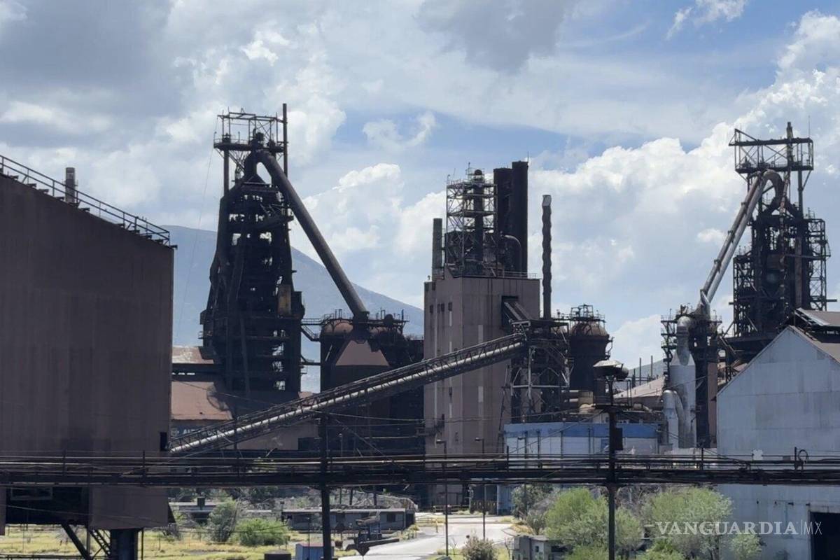 Decisiones federales llevaron al cierre de AHMSA y dañaron a miles de familias: Villarreal