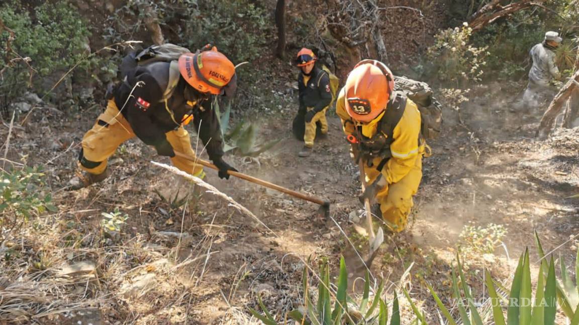 Liquidan incendio forestal en la Sierra de Santiago, Nuevo León
