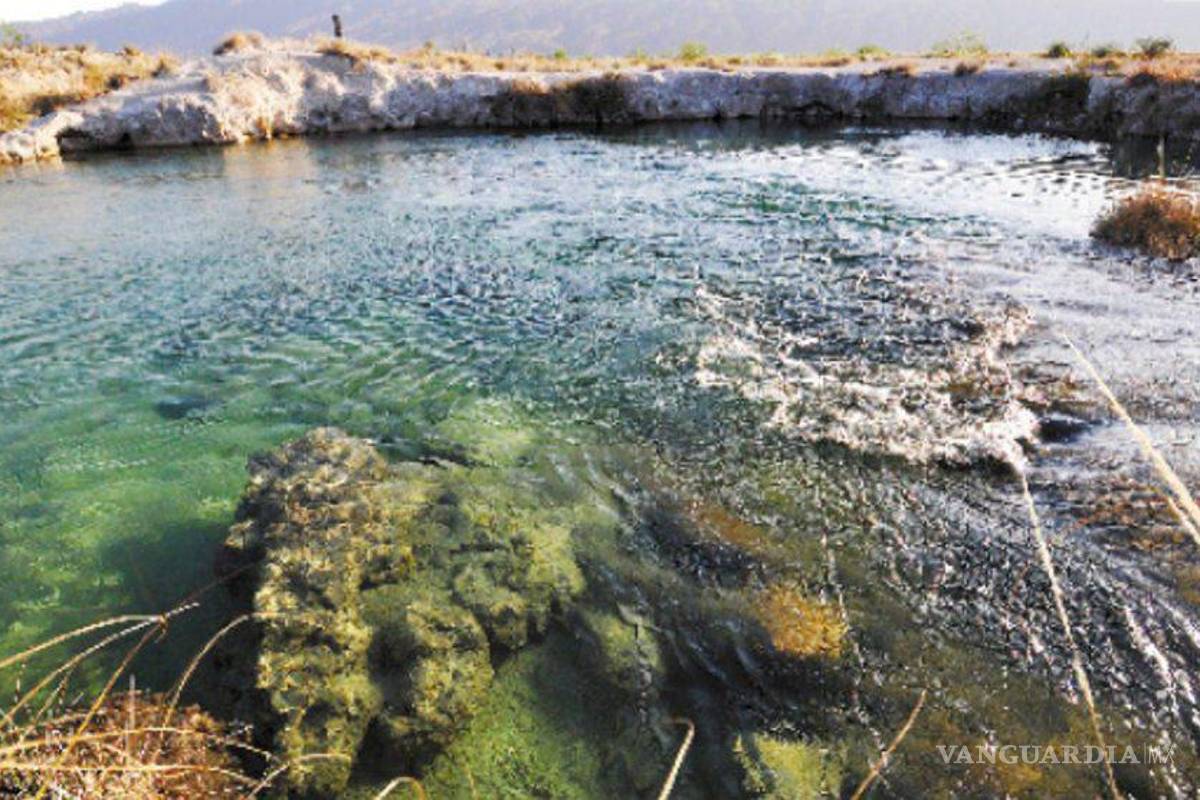 Coahuila: Acuífero de Cuatro Ciénegas, sobreexplotado y vulnerable a contaminación