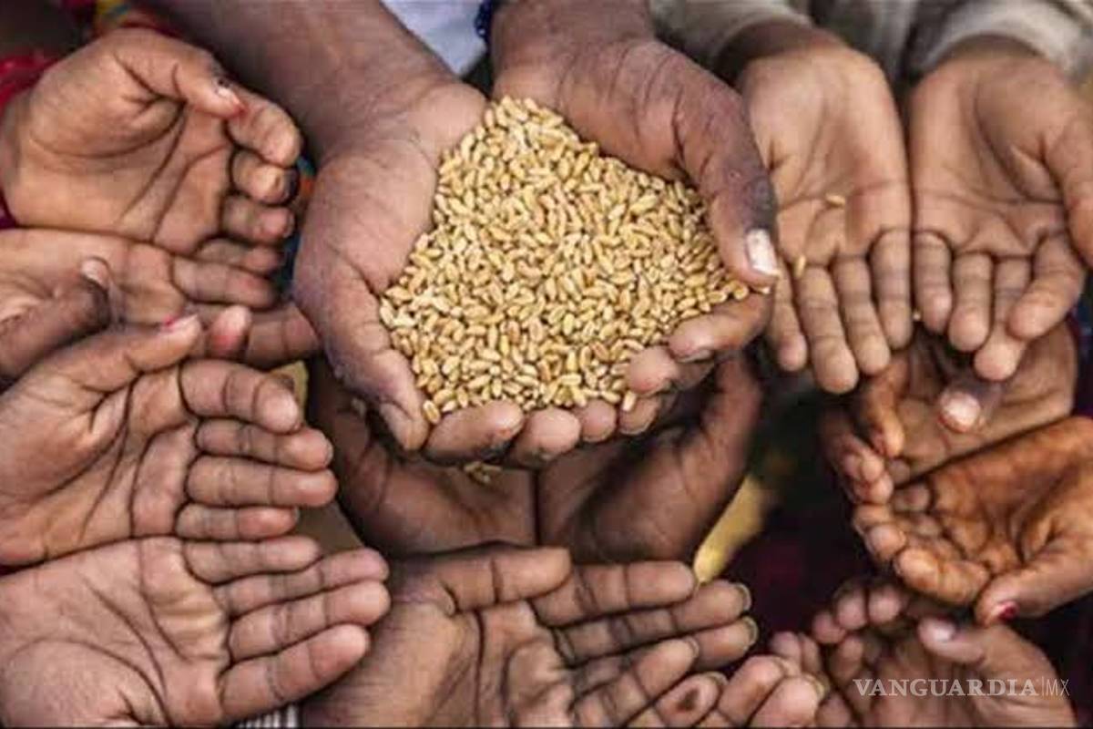 ONU: habrá escasez alimentaria durante los próximos 8 años