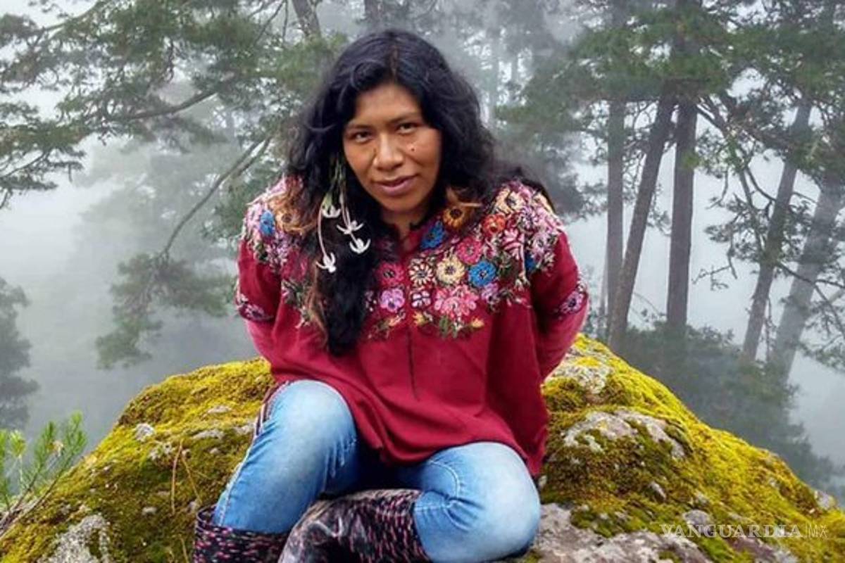 Desaparece defensora indígena de los bosques en Oaxaca, Irma Galindo
