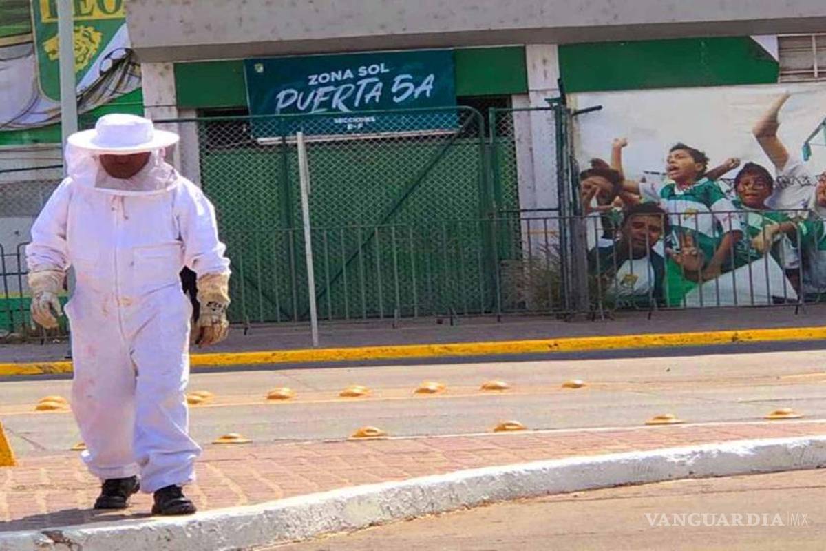 Ataque de abejas en León deja al menos 14 heridos