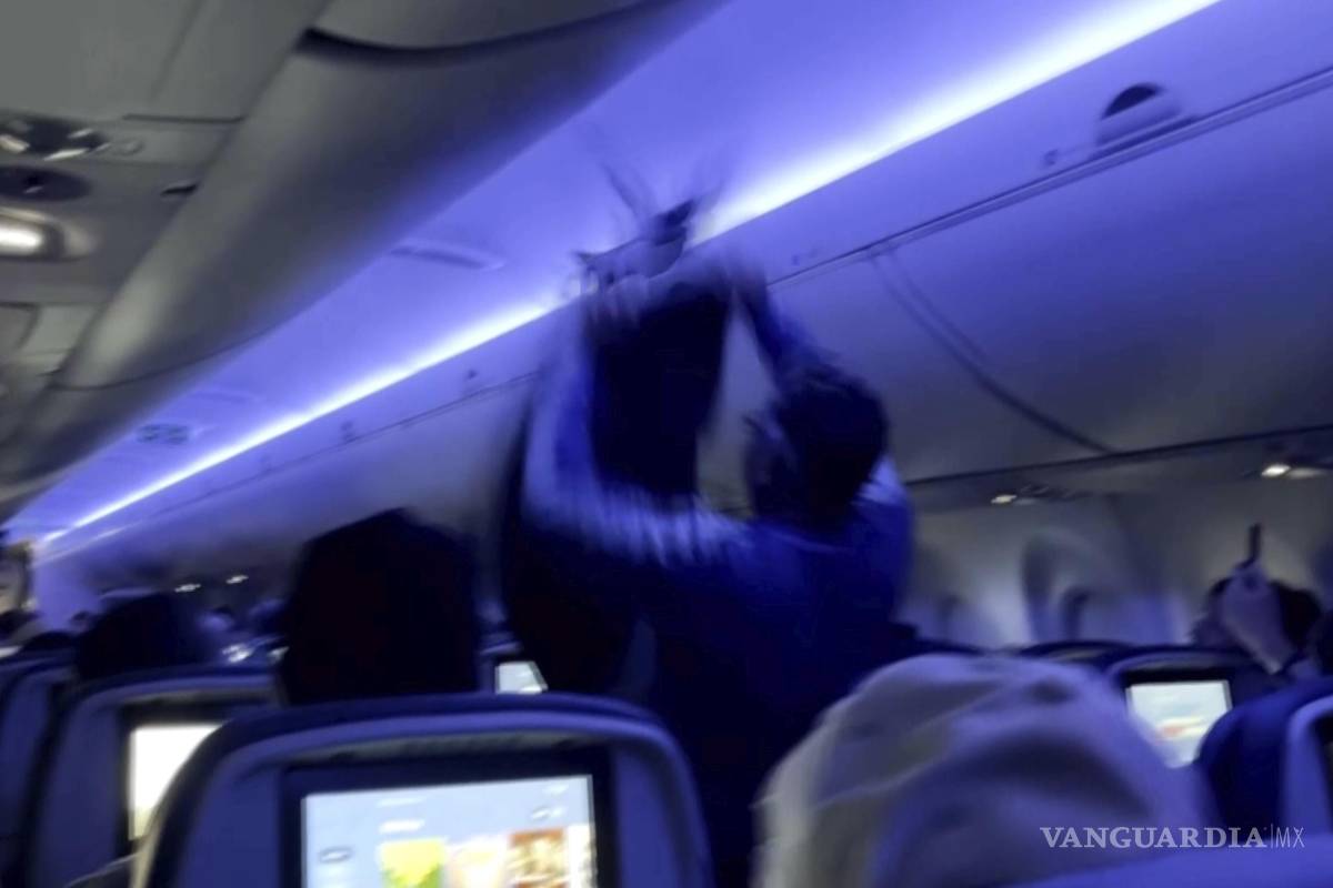 Dos palomas se cuelan adentro de un avión de Delta que vio obligado a retrasar el despegue en Minneapolis