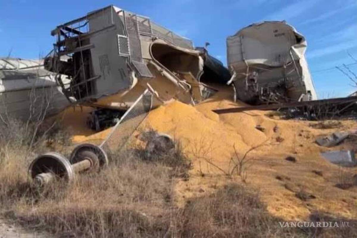 Descarrilamiento de tren en Nava deja 13 vagones de maíz volcados; investigan las causas