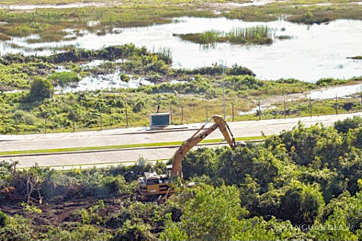 Defensa de manglares no es nuevo: Activistas