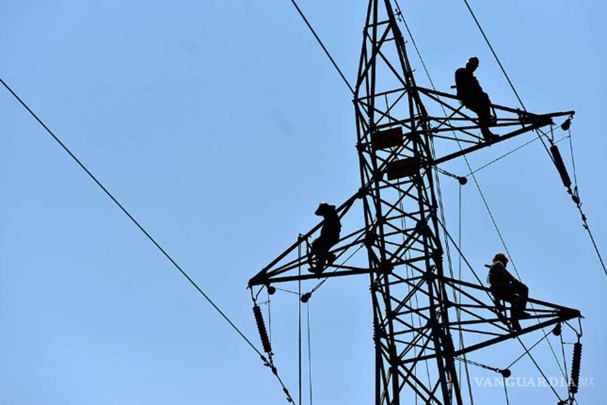 Sener atenta contra legalidad y consumidores, advierte el CCE