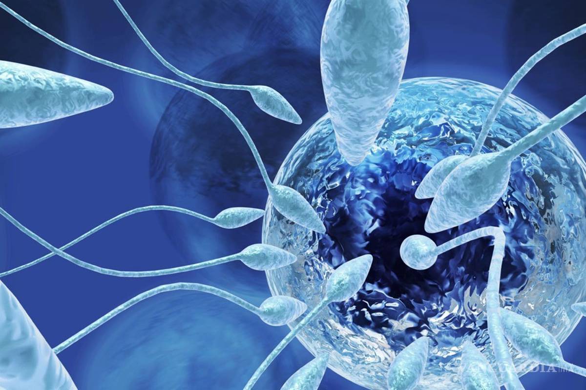 $!Descubren que el semen congelado es viable para reproducir humanos fuera de la Tierra
