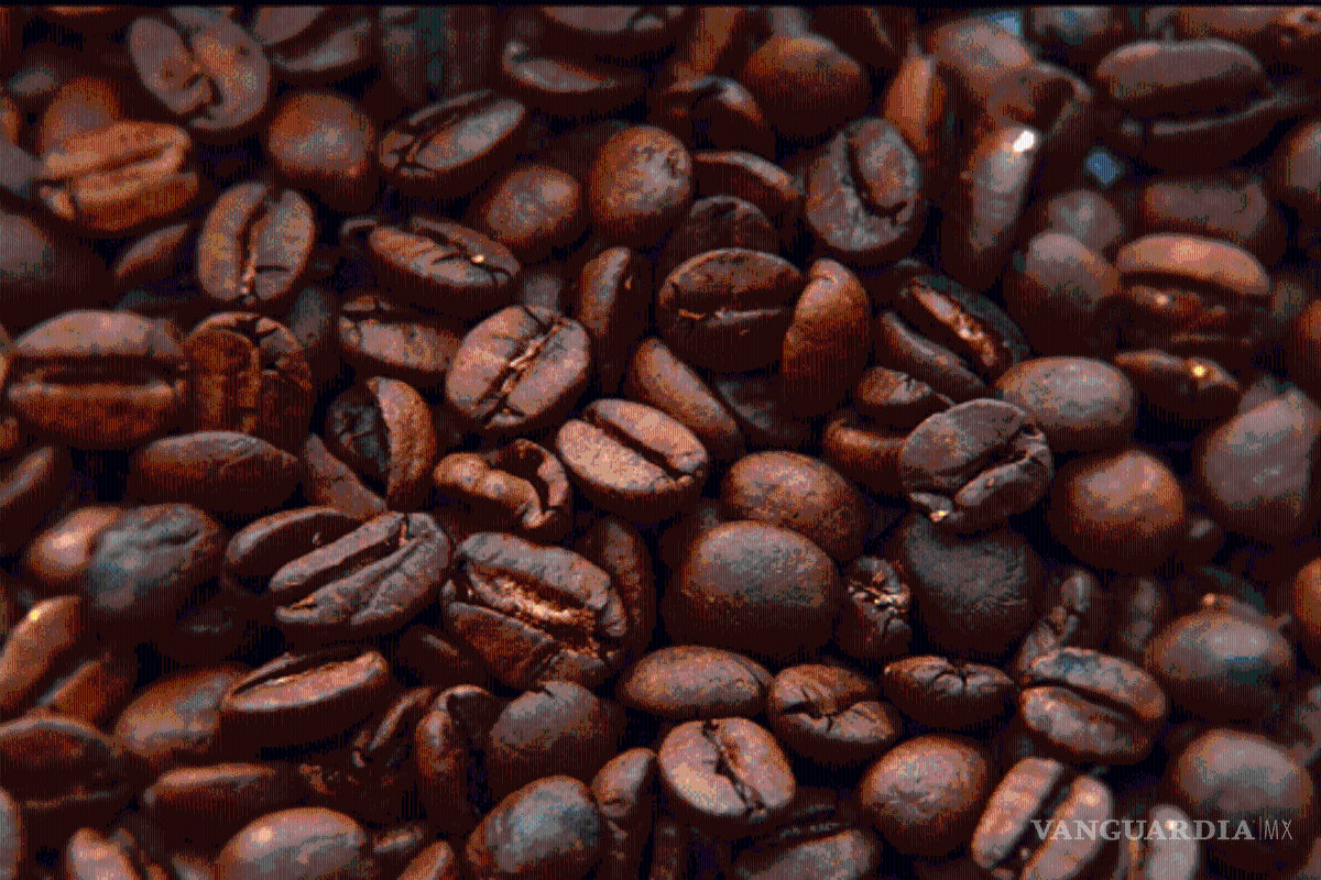 Están listos el chocolate y café de Bienestar