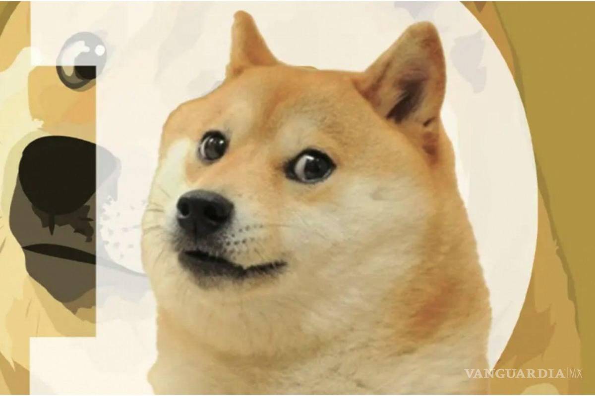 ¡El “Crypto Meme”, Dogecoin, Baby Doge y Safe Moon definitivamente están colapsando!
