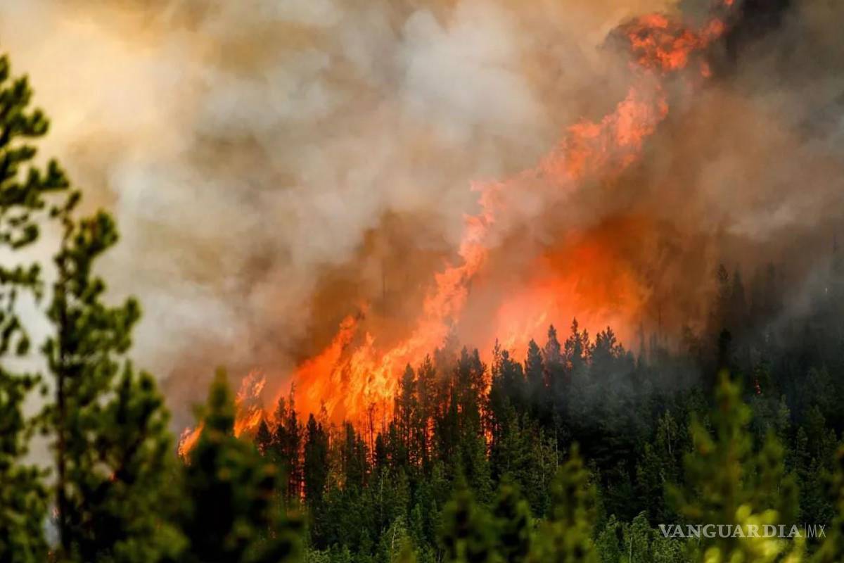 Tiene Canadá 87 incendios forestales activos