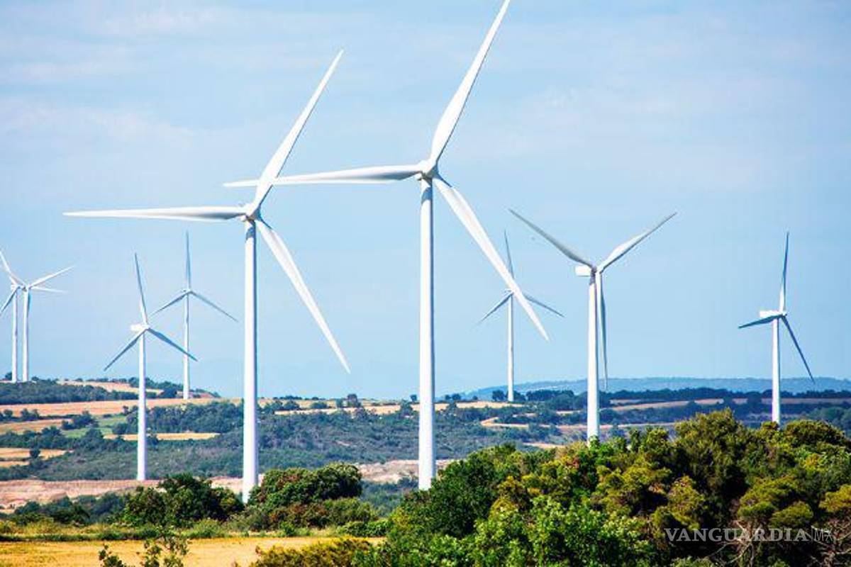 Cancelan proyecto eólico por ‘inviabilidad’