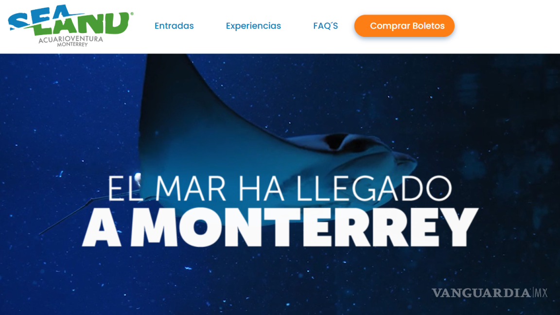 ¡Sealand: El mar ha llegado a Monterrey! Conoce todos los detalles sobre este primer acuario interactivo de la región
