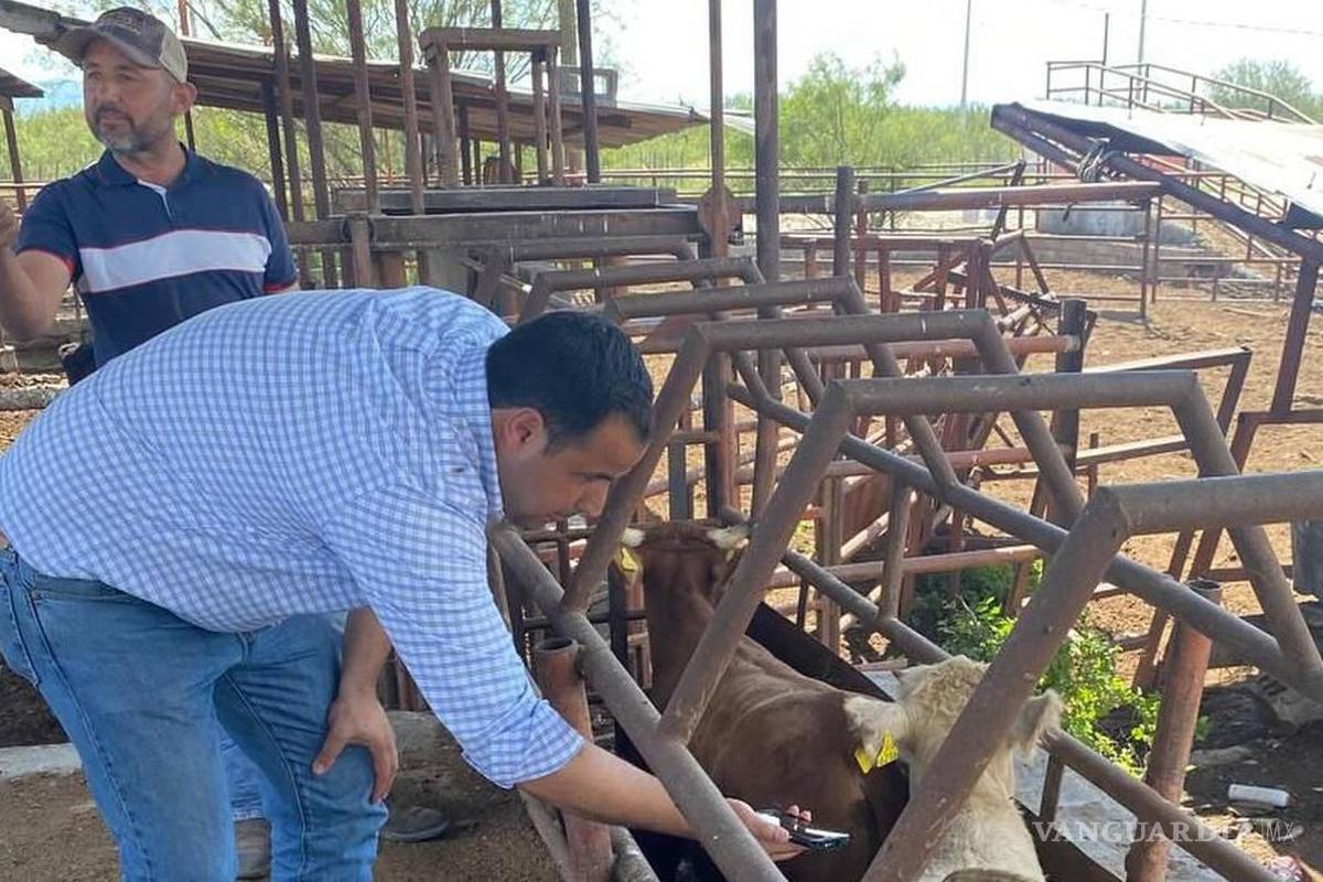Alerta en Coahuila por gusano barrenador en NL; prevén que se retrase 60 días reapertura de frontera