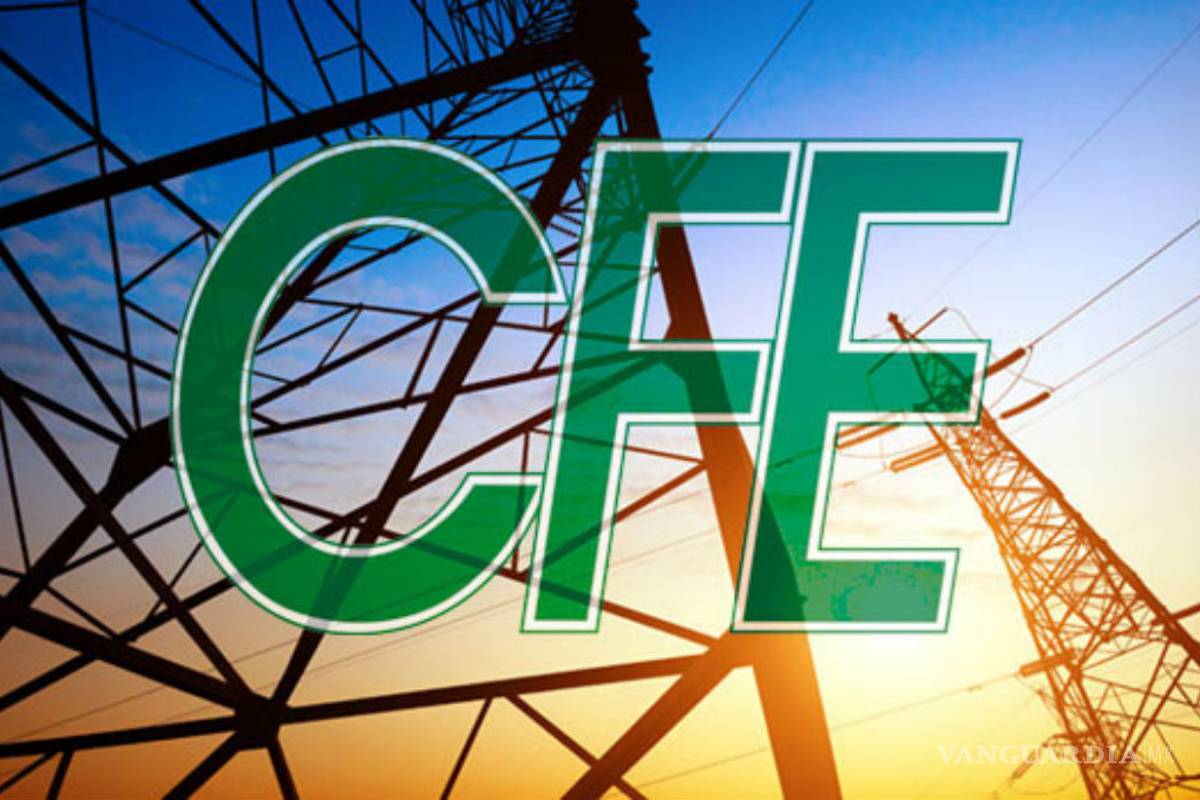 Utilidad CFE crece 133%