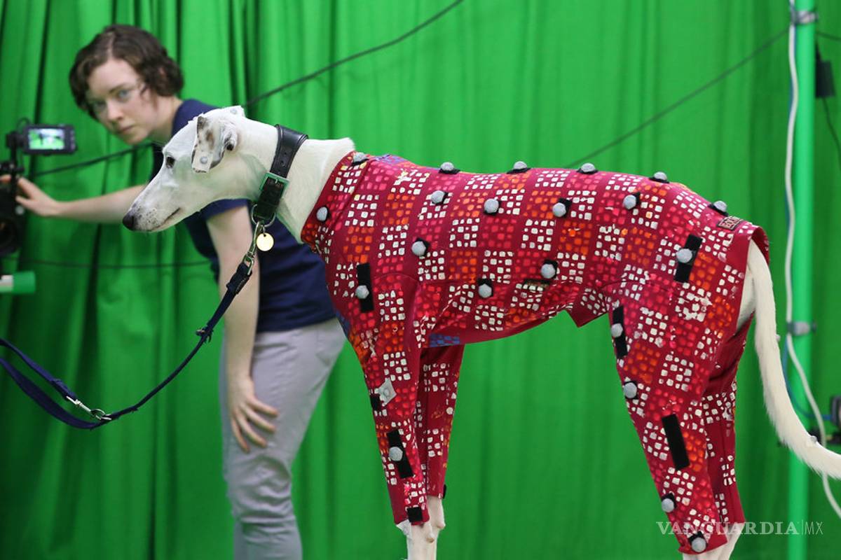 $!Alucinantes implementos tecnológicos en los videojuegos | Futuro posible